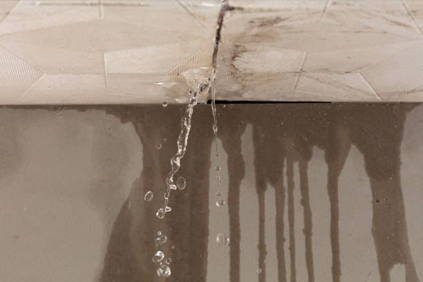 Professional Water Damage Inspection technician working in Sparta, GA